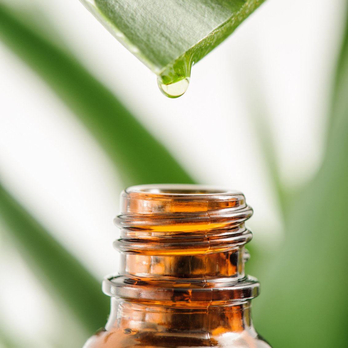 Aloe tincture